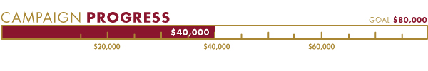 Harry Kalas Donation meter
